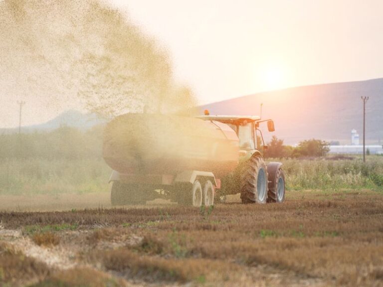 Czym jest obornik - jak i kiedy stosować ten naturalny nawóz?