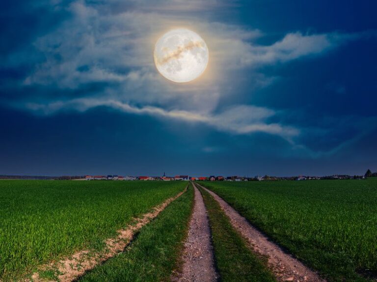 Superksiężyc - zbożowa pełnia księżyca