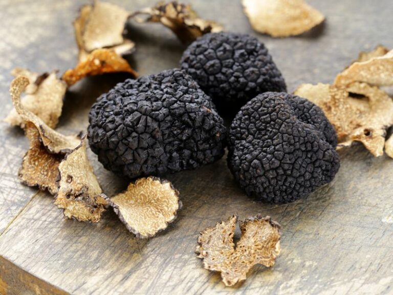 Czy uprawa trufli w Polsce jest możliwa?