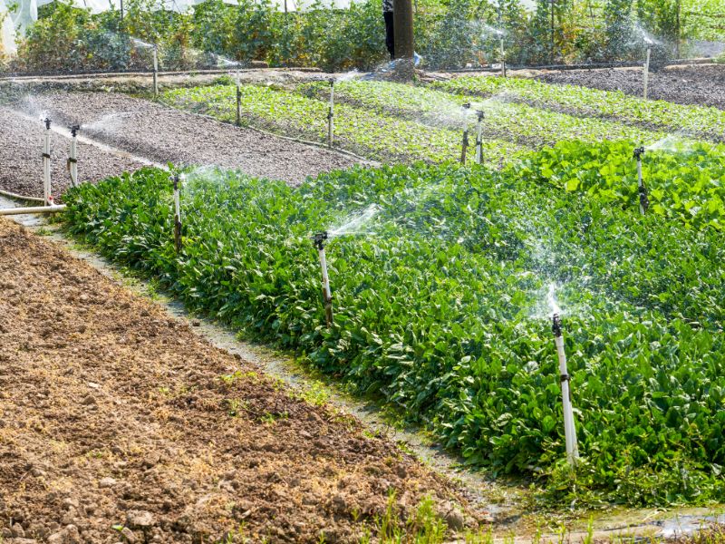 dozownik inżektorowy