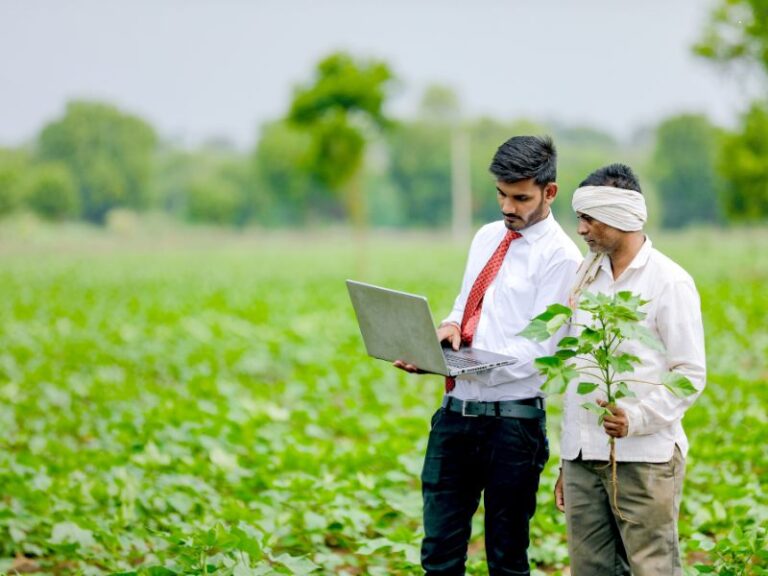 wsparcie firm za granicą