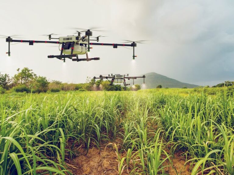 Czy nawozy Są niezbędne w nowoczesnym rolnictwie?