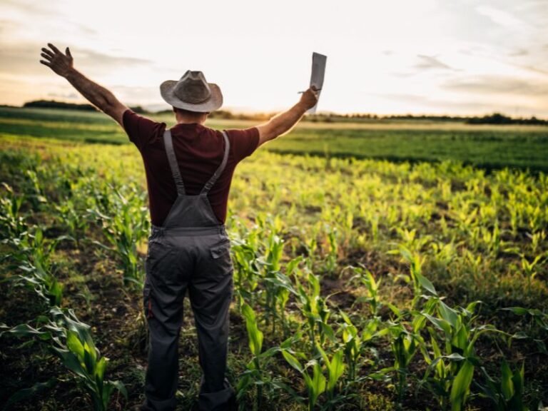 Odpowiednie obuwie do pracy na roli – Klucz do komfortu i bezpieczeństwa