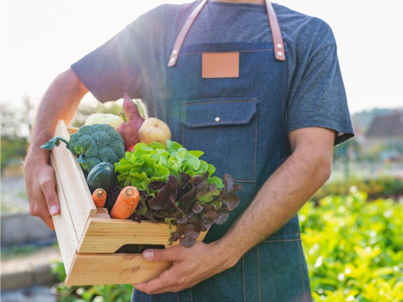Jak skutecznie reklamować ekologiczne produkty spożywcze na wsi?
