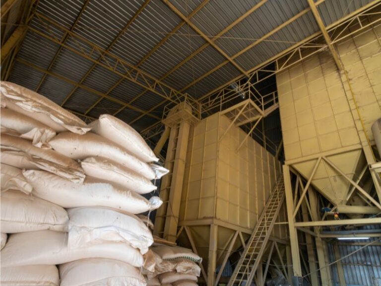 Hale magazynowe z paszą – jak zabezpieczyć przestrzeń?