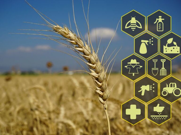 Jak intralogistyka wspiera rolnictwo?