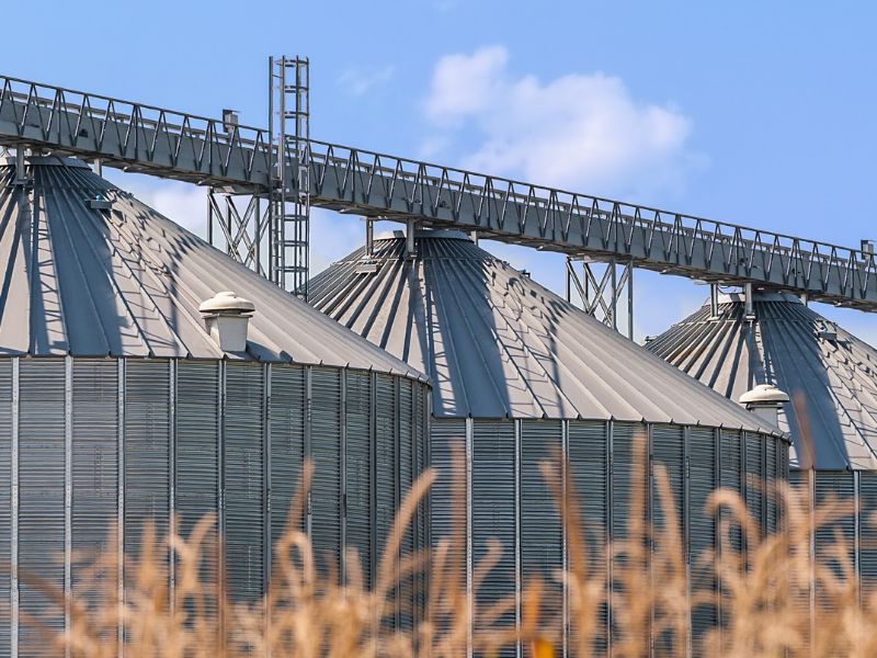 Jak przechowywać warzywa i owoce w okresie mrozów?