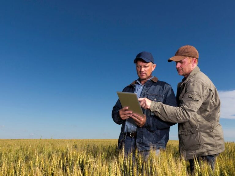 Etykietowanie i certyfikacja produktów rolnych w wielu językach