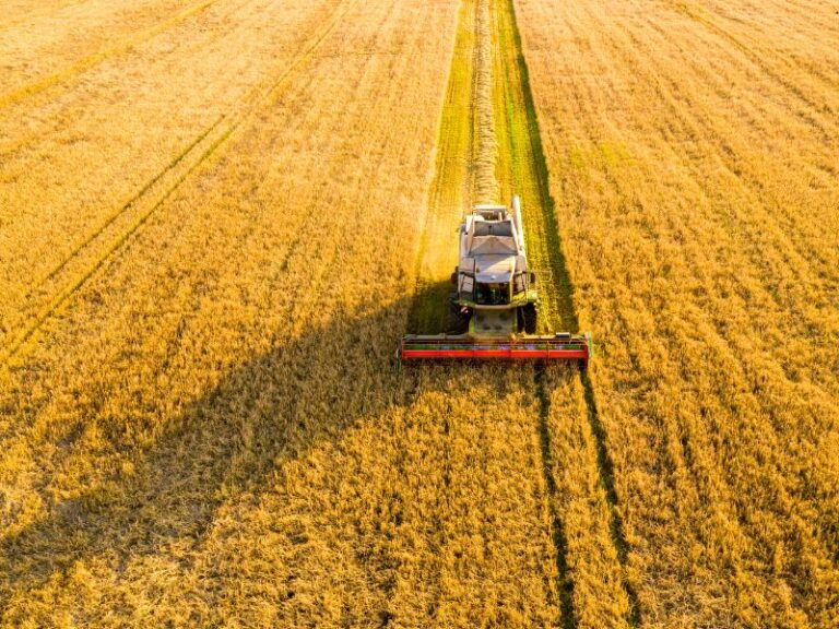 legendy-rolnicze-smoki