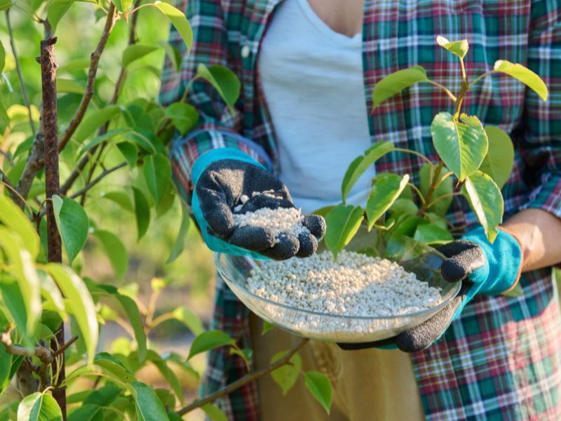 Ceny i import nawozów z zagranicy – co warto wiedzieć?